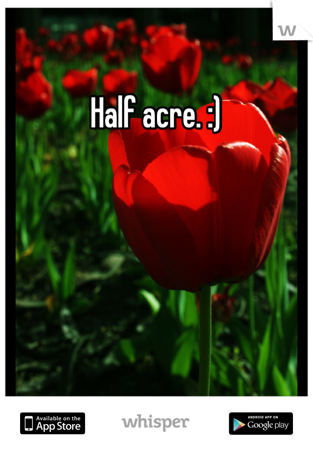 Half acre. :) 