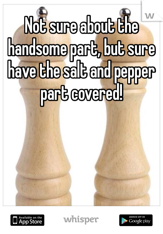 Not sure about the handsome part, but sure have the salt and pepper part covered!