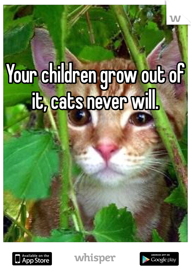 Your children grow out of it, cats never will. 