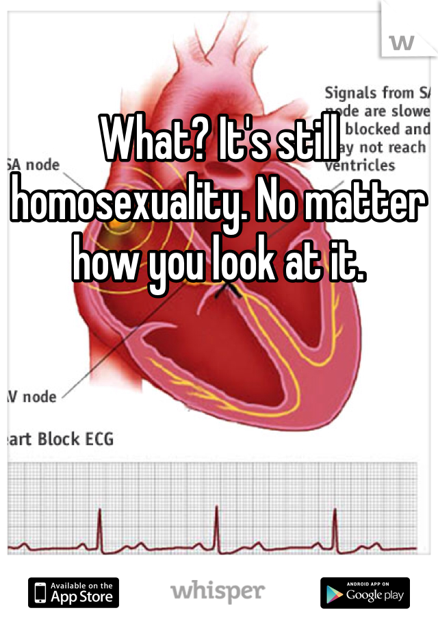 What? It's still homosexuality. No matter how you look at it. 