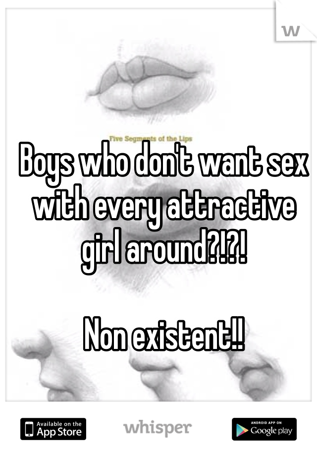 Boys who don't want sex with every attractive girl around?!?! 

Non existent!!