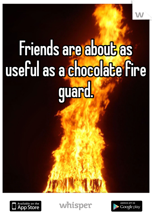 Friends are about as useful as a chocolate fire guard. 