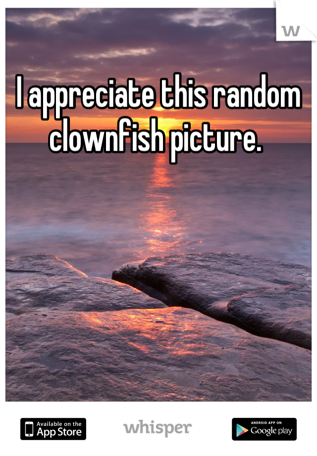 I appreciate this random clownfish picture. 