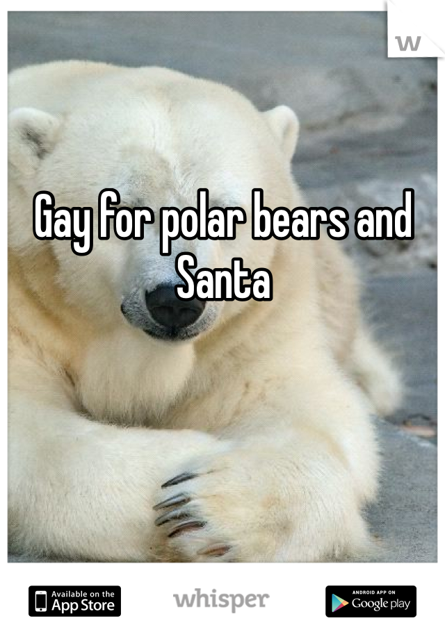 Gay for polar bears and Santa 