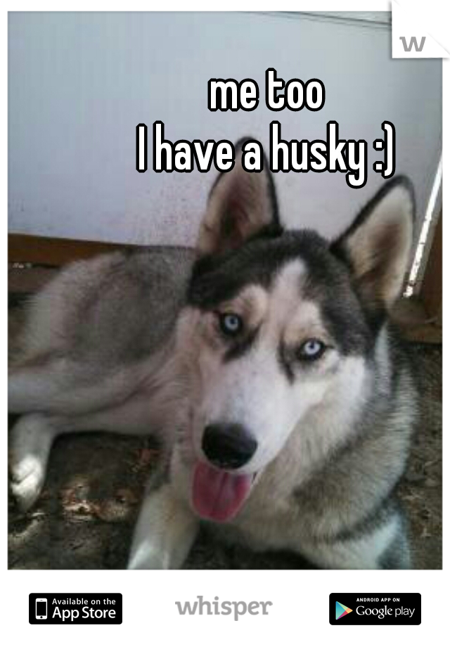 me too

I have a husky :)