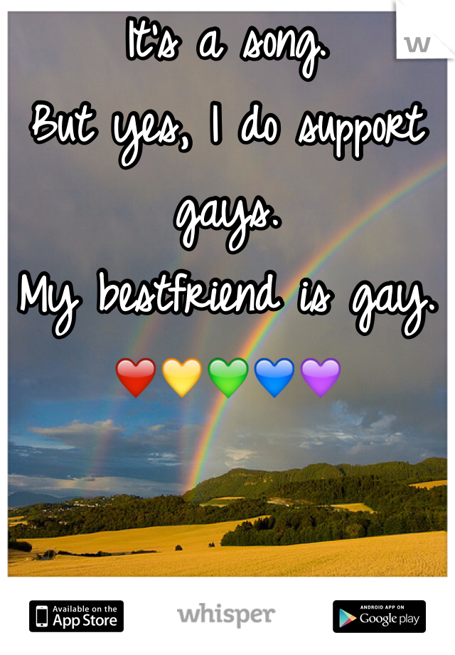 It's a song. 
But yes, I do support gays. 
My bestfriend is gay. 
❤️💛💚💙💜