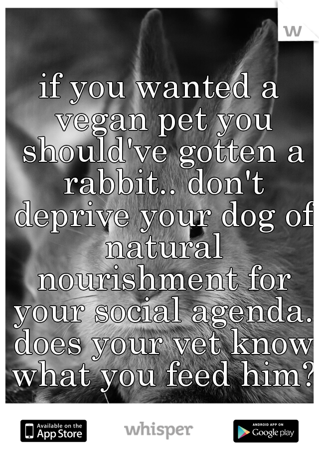 if you wanted a vegan pet you should've gotten a rabbit.. don't deprive your dog of natural nourishment for your social agenda. does your vet know what you feed him?