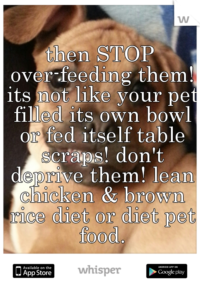 then STOP over-feeding them! its not like your pet filled its own bowl or fed itself table scraps! don't deprive them! lean chicken & brown rice diet or diet pet food.