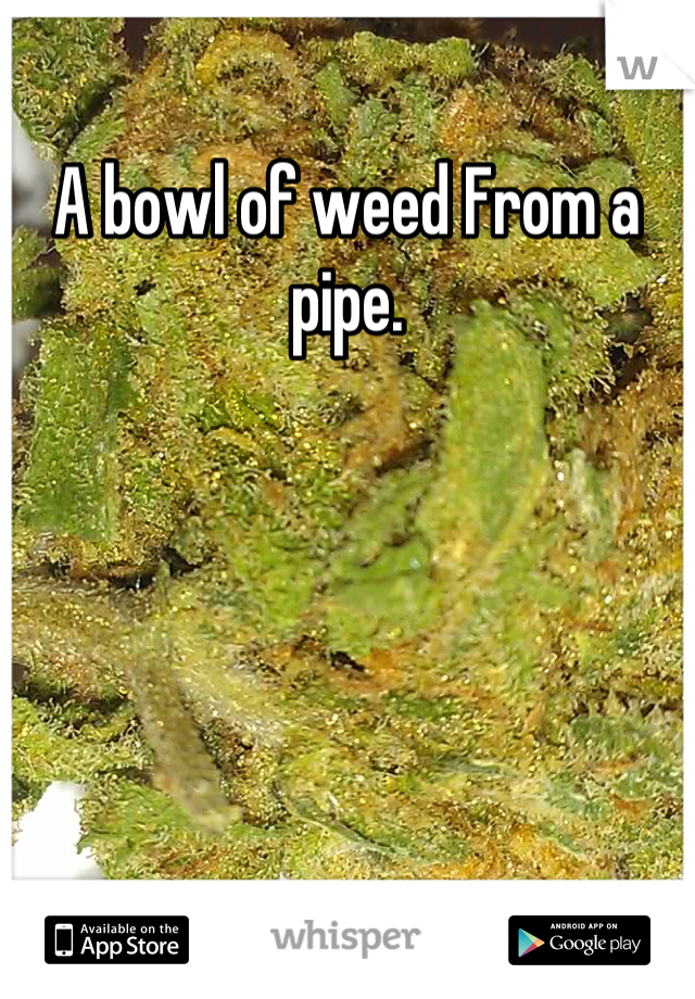 A bowl of weed From a pipe.