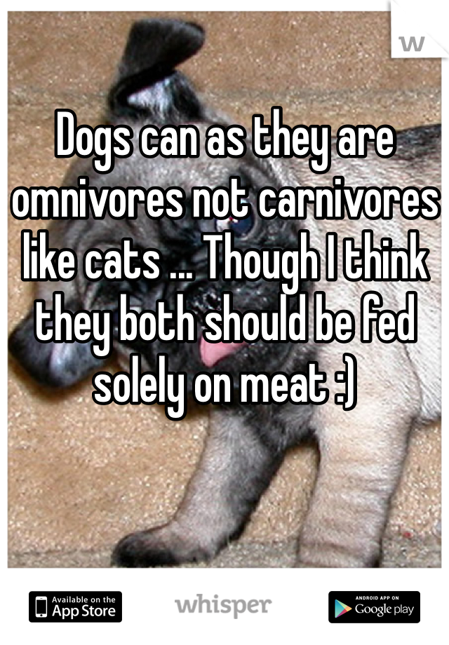 Dogs can as they are omnivores not carnivores like cats ... Though I think they both should be fed solely on meat :)