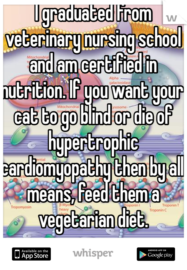 I graduated from veterinary nursing school and am certified in nutrition. If you want your cat to go blind or die of hypertrophic cardiomyopathy then by all means, feed them a vegetarian diet.