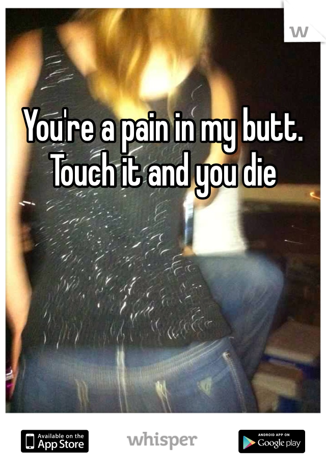 You're a pain in my butt. Touch it and you die