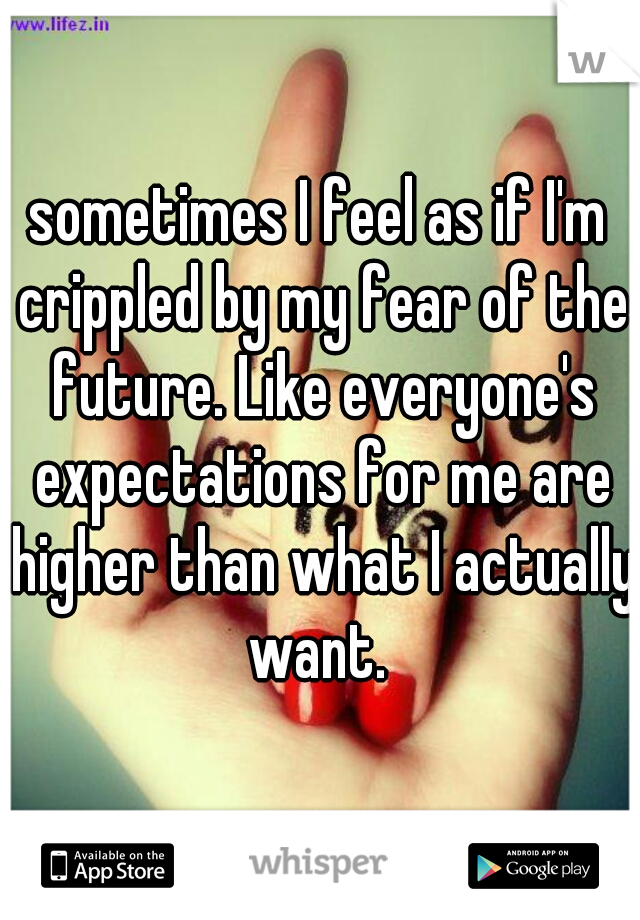 sometimes I feel as if I'm crippled by my fear of the future. Like everyone's expectations for me are higher than what I actually want. 