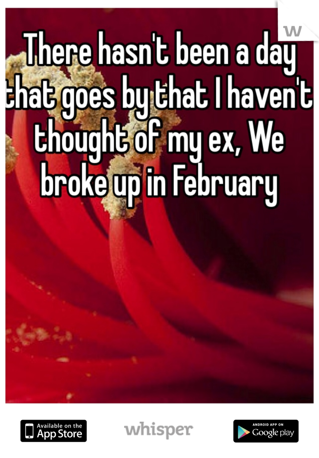 There hasn't been a day that goes by that I haven't thought of my ex, We broke up in February 