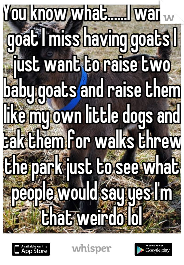 You know what......I want a goat I miss having goats I just want to raise two baby goats and raise them like my own little dogs and tak them for walks threw the park just to see what people would say yes I'm that weirdo lol