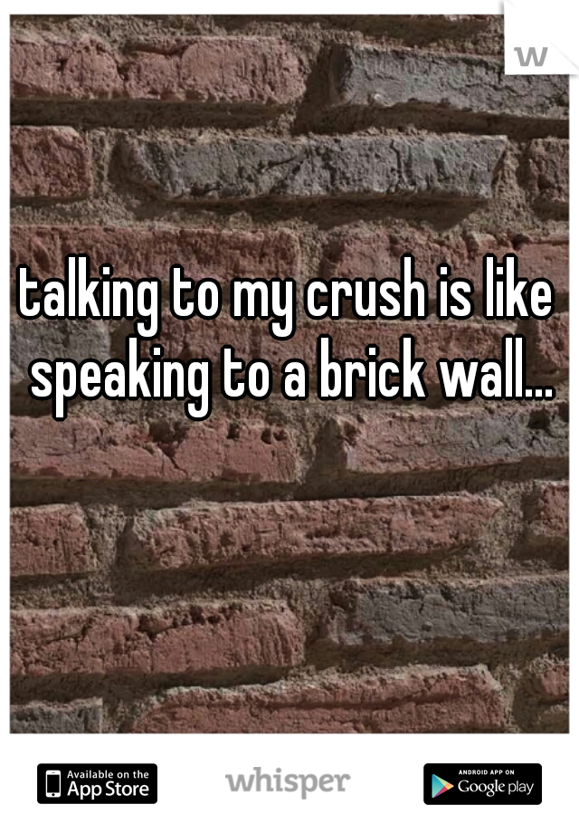 talking to my crush is like speaking to a brick wall...