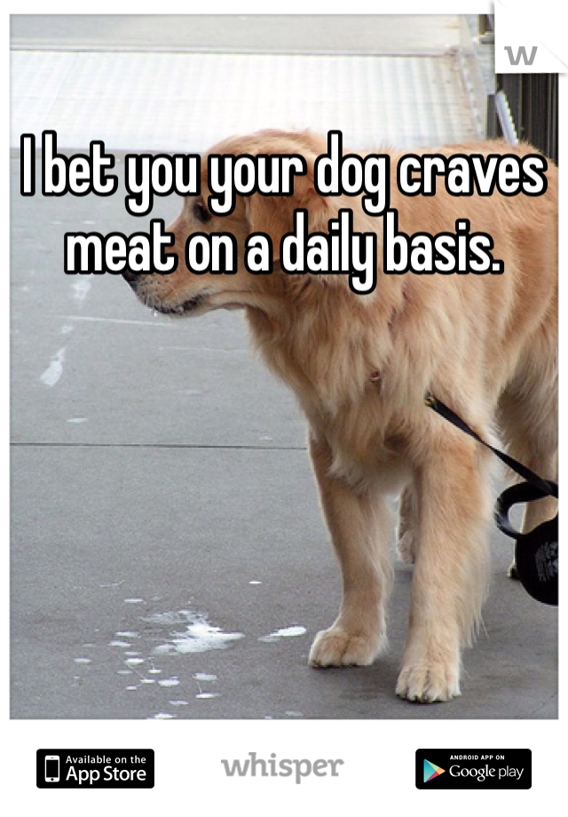 I bet you your dog craves meat on a daily basis.