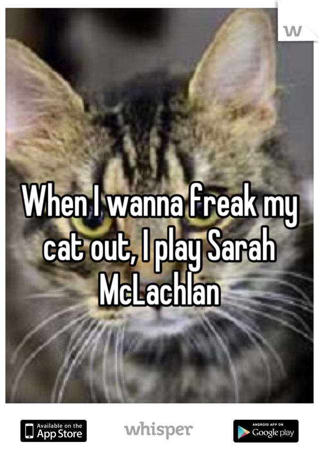 When I wanna freak my cat out, I play Sarah McLachlan