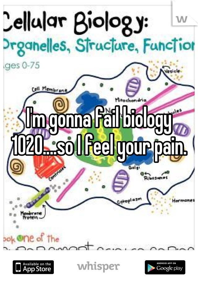 I'm gonna fail biology 1020....so I feel your pain.