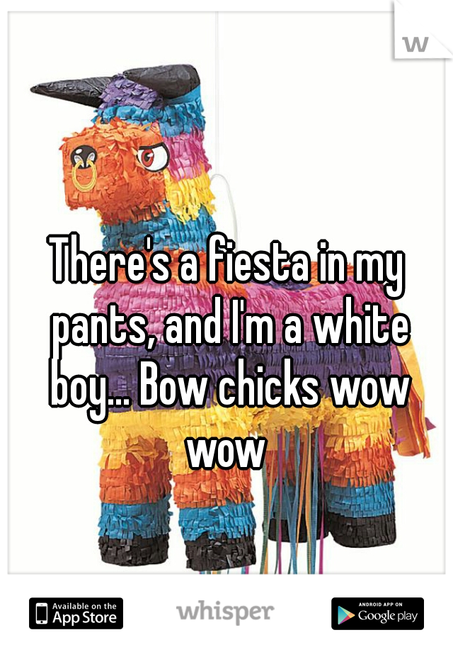 There's a fiesta in my pants, and I'm a white boy... Bow chicks wow wow 