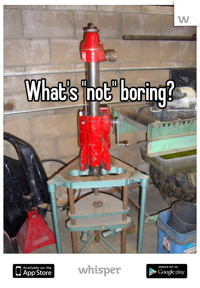 What's "not" boring?