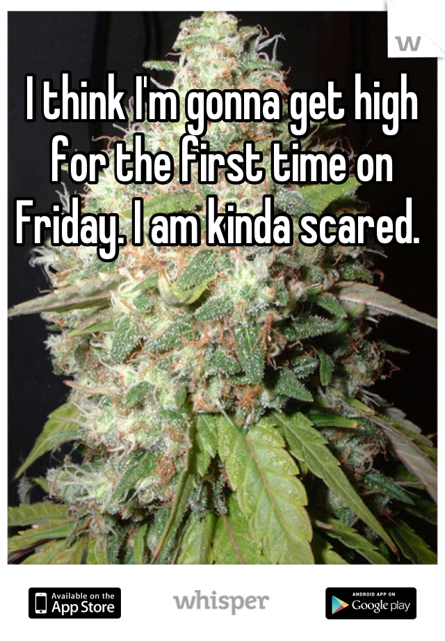 I think I'm gonna get high for the first time on Friday. I am kinda scared. 