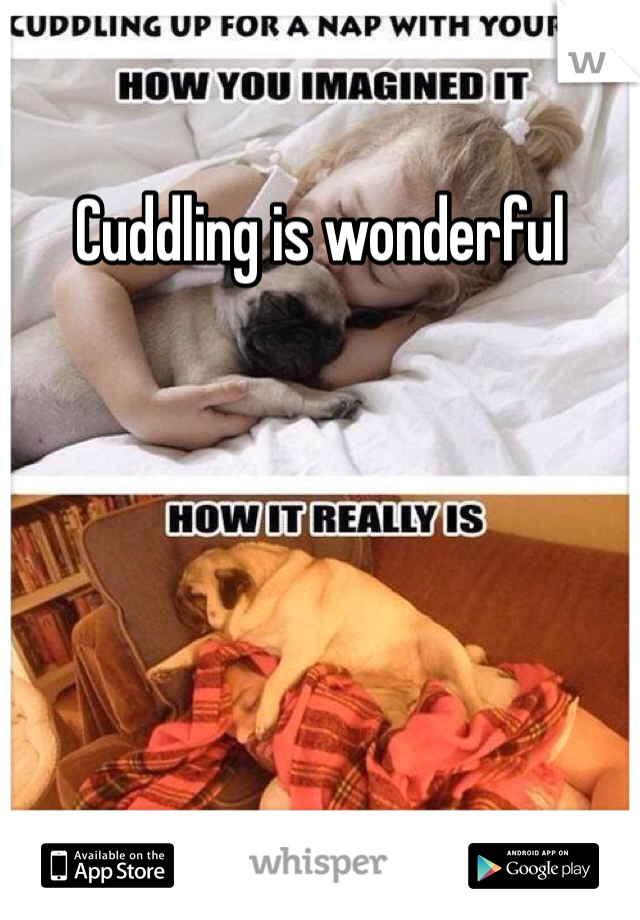 Cuddling is wonderful