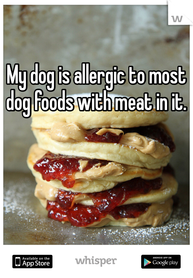My dog is allergic to most dog foods with meat in it.