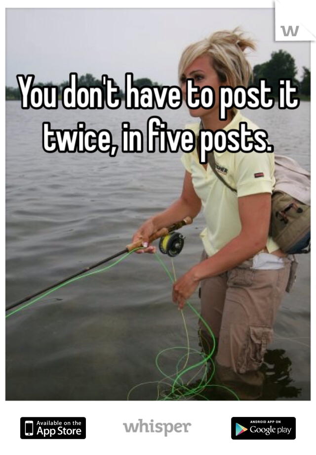 You don't have to post it twice, in five posts. 