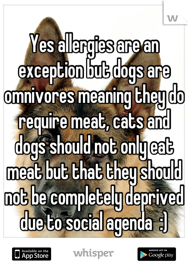 Yes allergies are an exception but dogs are omnivores meaning they do require meat, cats and dogs should not only eat meat but that they should not be completely deprived due to social agenda  :)