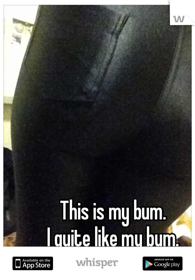 This is my bum.
I quite like my bum.