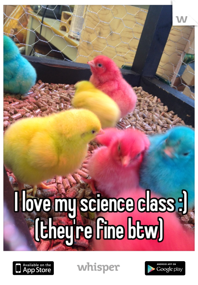  I love my science class :)
(they're fine btw)