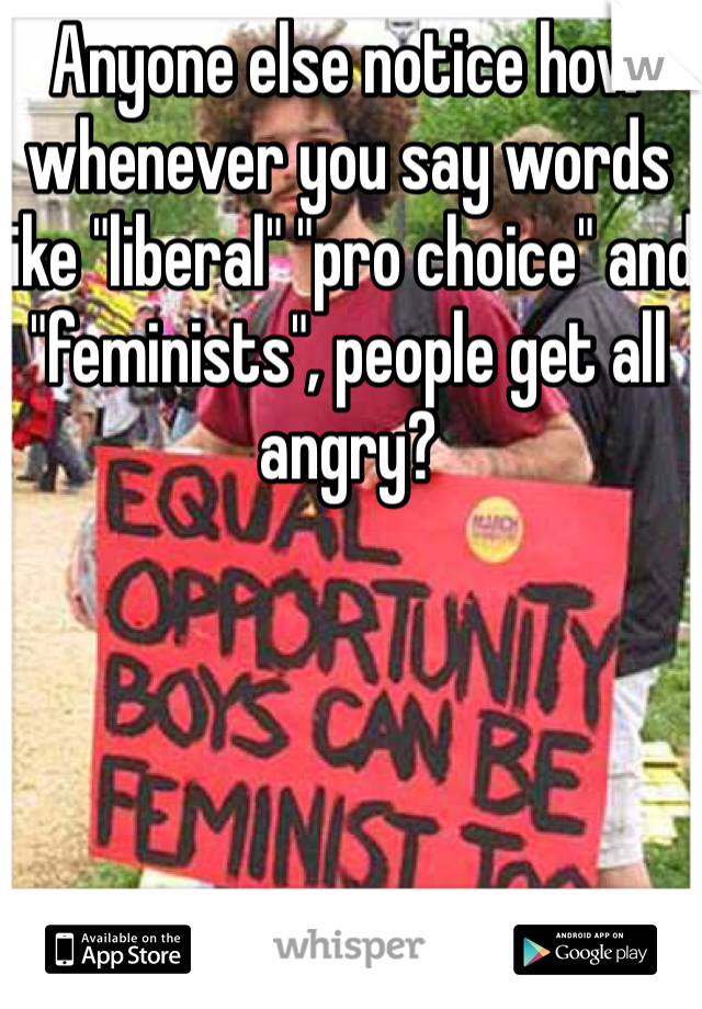 Anyone else notice how whenever you say words like "liberal" "pro choice" and "feminists", people get all angry?