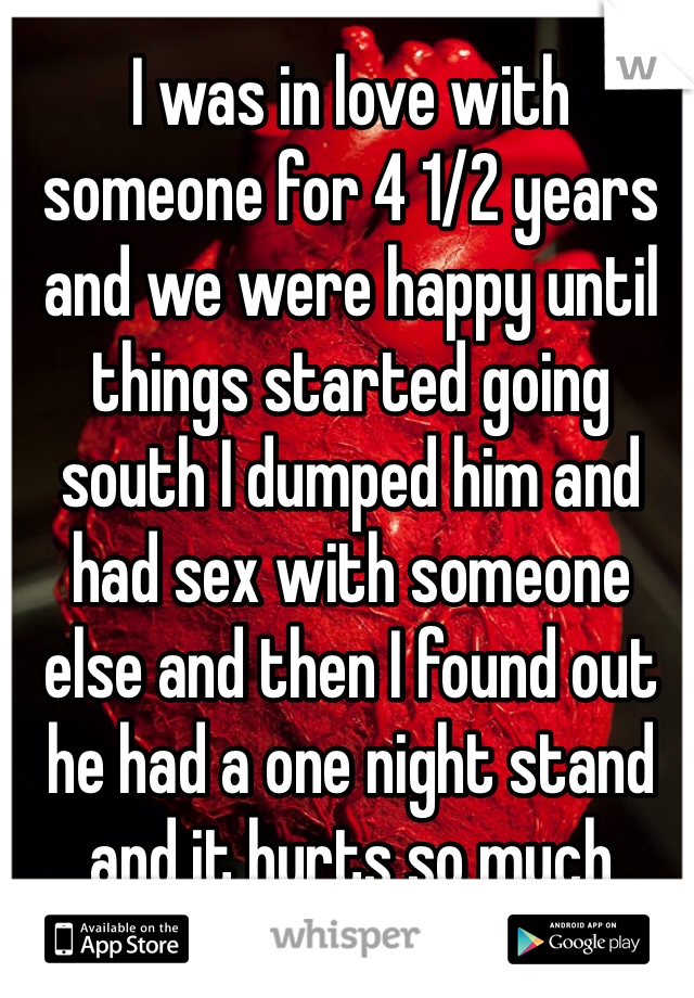 I was in love with someone for 4 1/2 years and we were happy until things started going south I dumped him and had sex with someone else and then I found out he had a one night stand and it hurts so much 