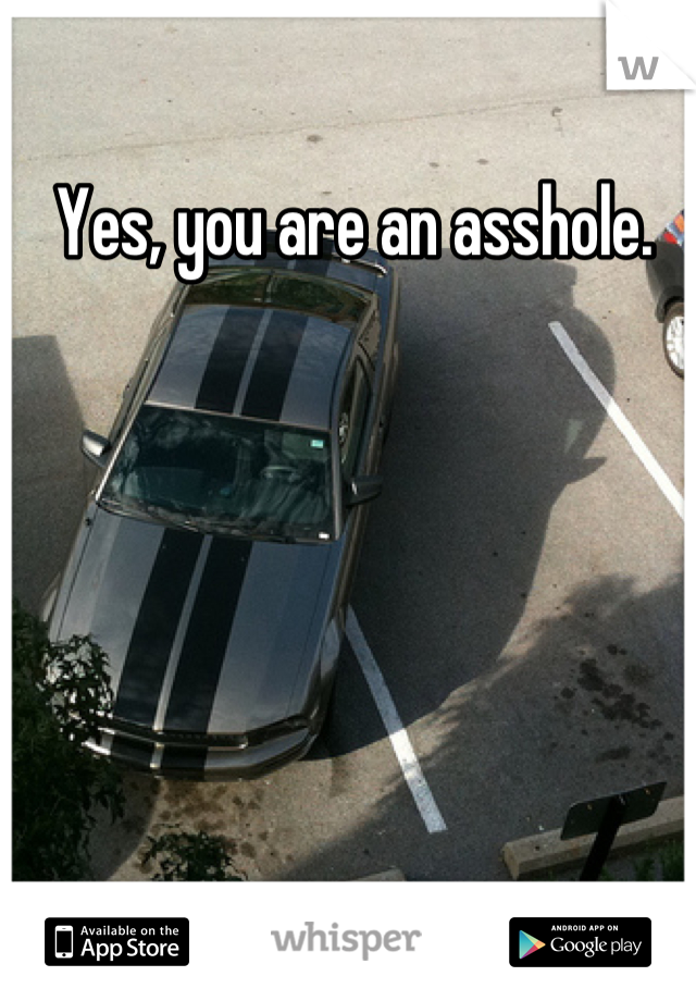 Yes, you are an asshole.