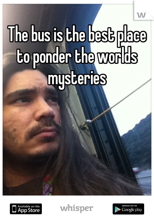 The bus is the best place to ponder the worlds mysteries