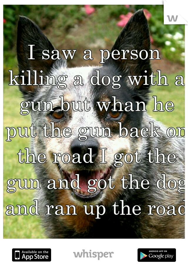 I saw a person killing a dog with a gun but whan he put the gun back on the road I got the gun and got the dog and ran up the road 
