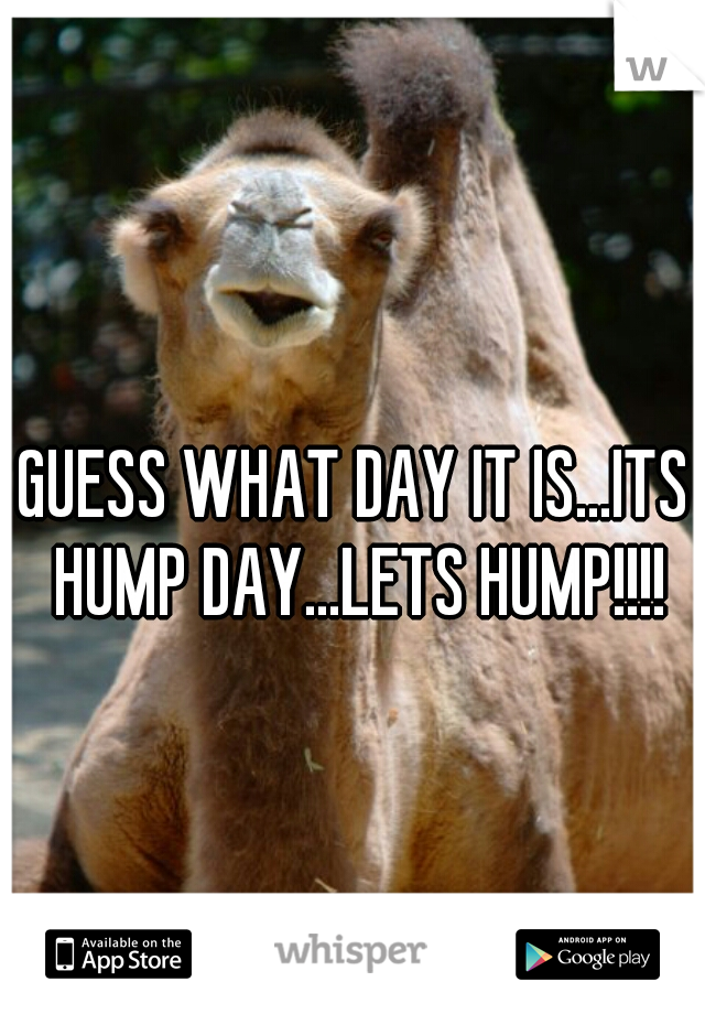 GUESS WHAT DAY IT IS...ITS HUMP DAY...LETS HUMP!!!!