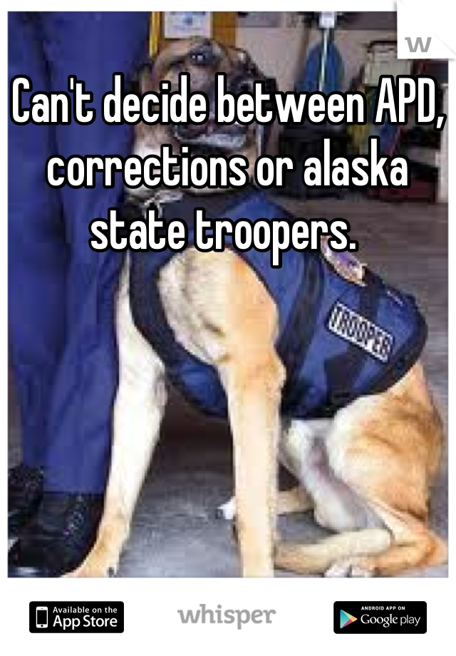 Can't decide between APD, corrections or alaska state troopers. 