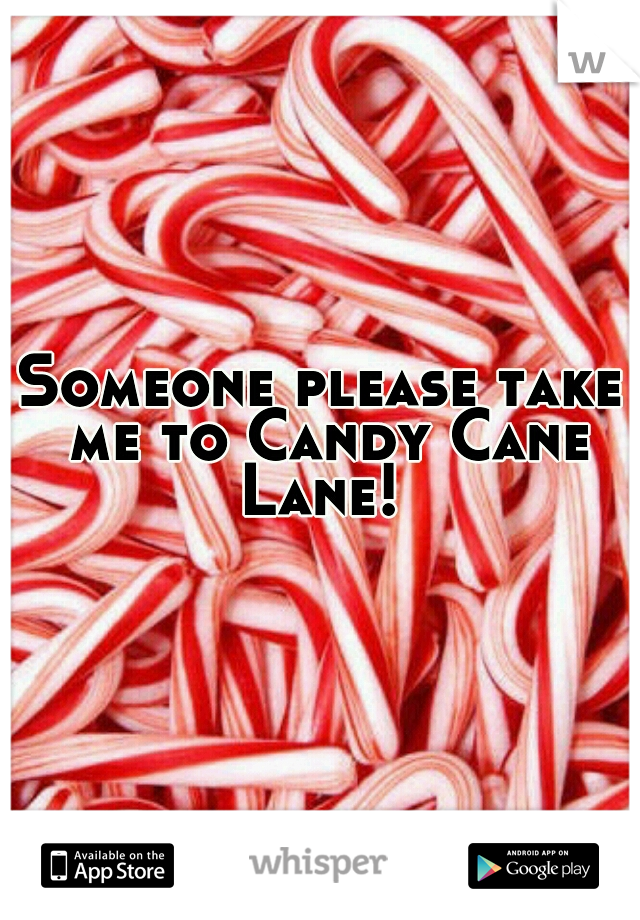 Someone please take me to Candy Cane Lane! 