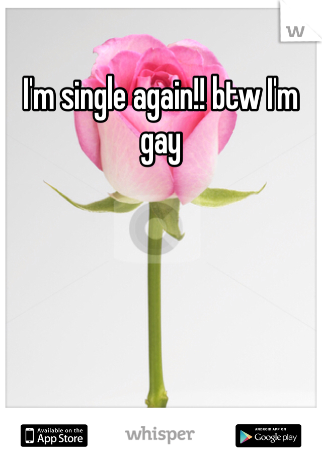 I'm single again!! btw I'm gay