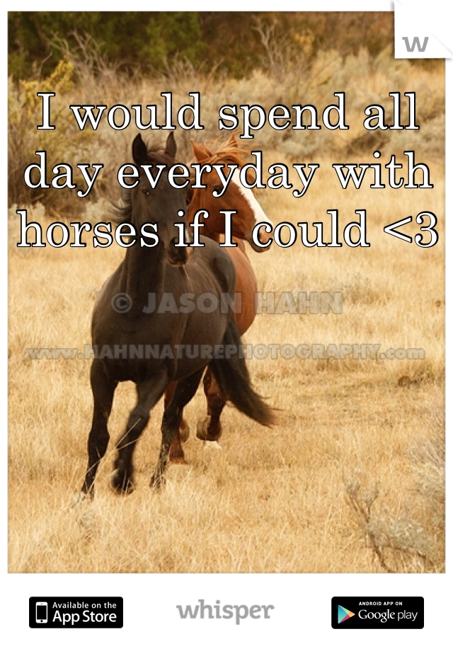 I would spend all day everyday with horses if I could <3