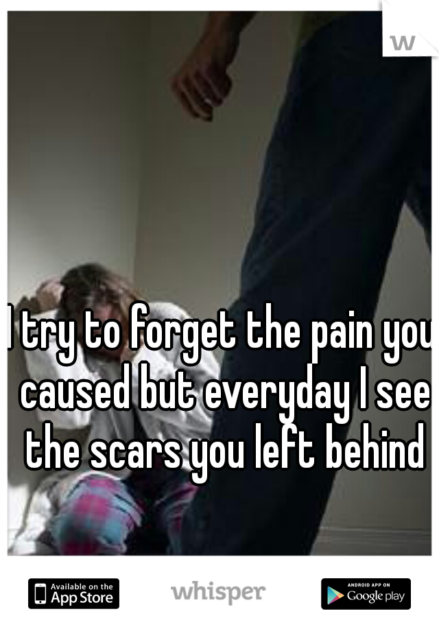 I try to forget the pain you caused but everyday I see the scars you left behind