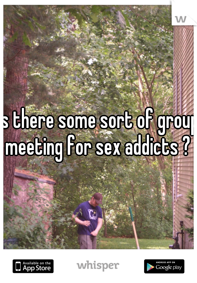 is there some sort of group meeting for sex addicts ? 