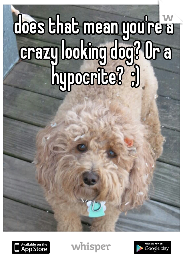does that mean you're a crazy looking dog? Or a hypocrite?  ;)