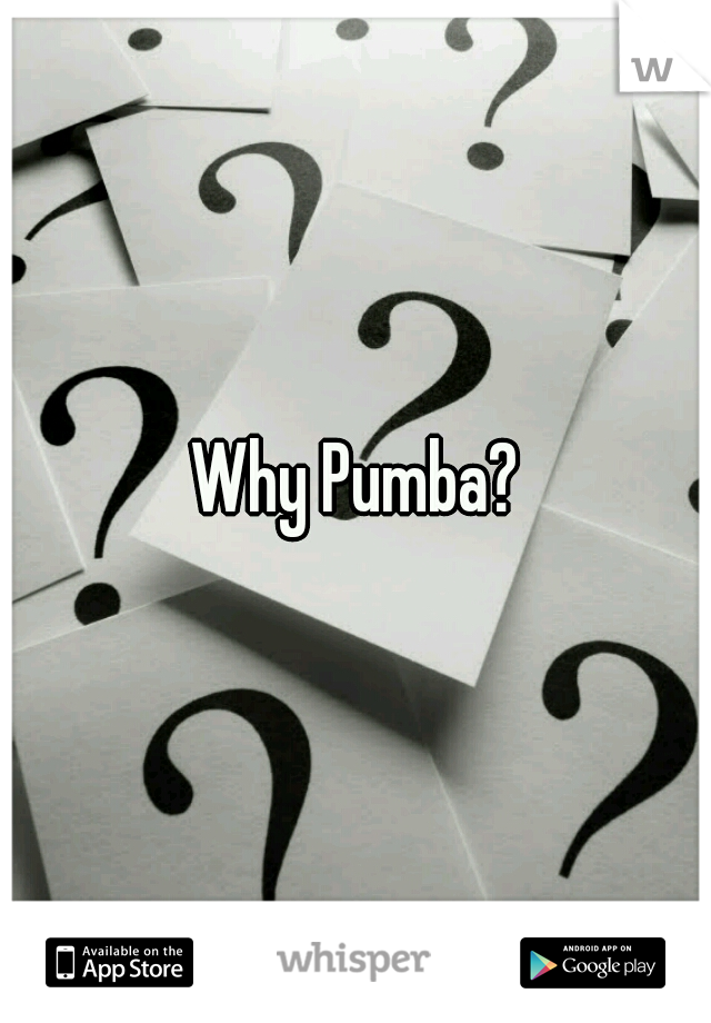 Why Pumba?