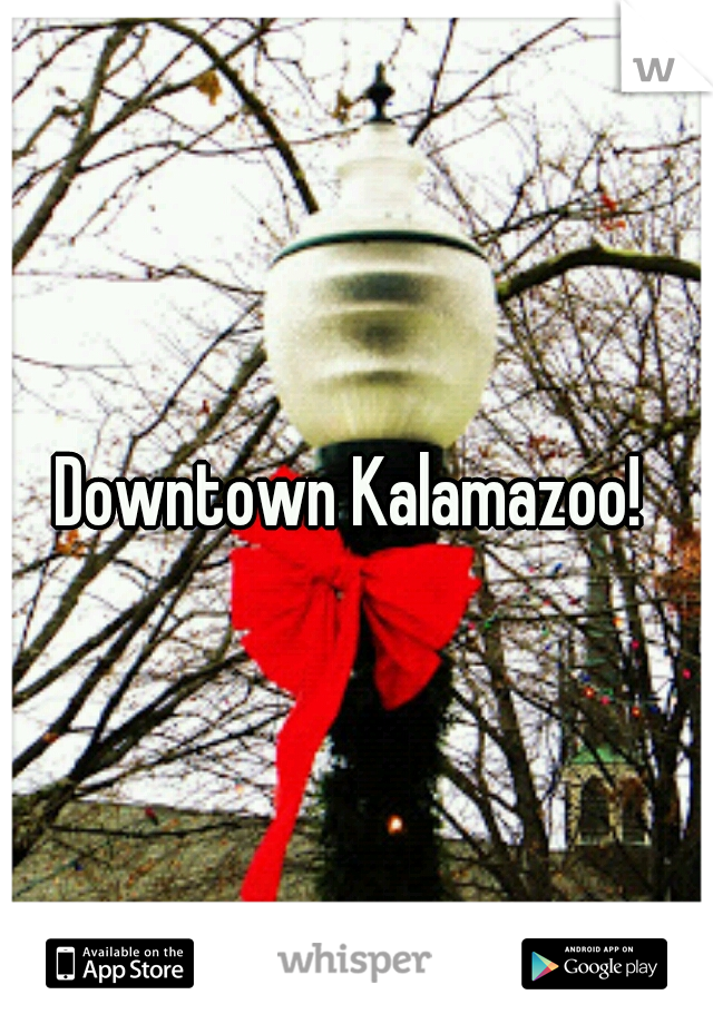 Downtown Kalamazoo! 