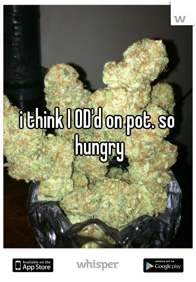 i think I OD'd on pot. so hungry