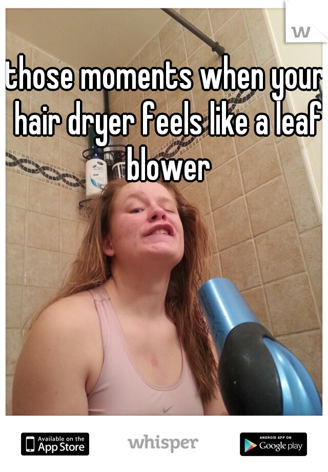 those moments when your hair dryer feels like a leaf blower