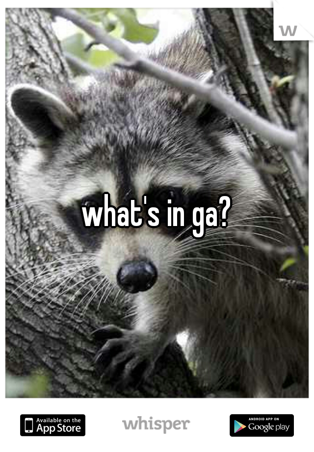 what's in ga?